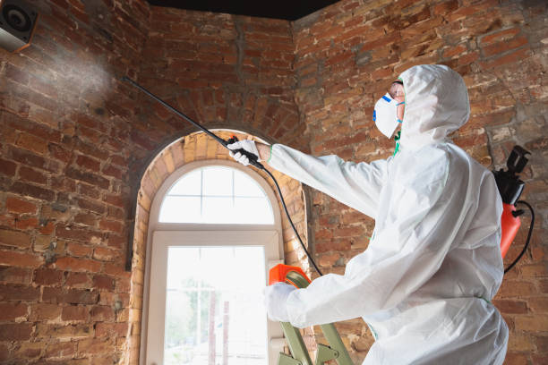 Best Mold Remediation for Healthcare Facilities  in Kendale Lakes, FL